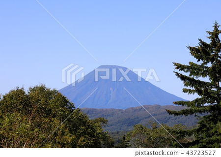 從中山山口和禪宗茶館看到的夏末羊蹄山 43723527