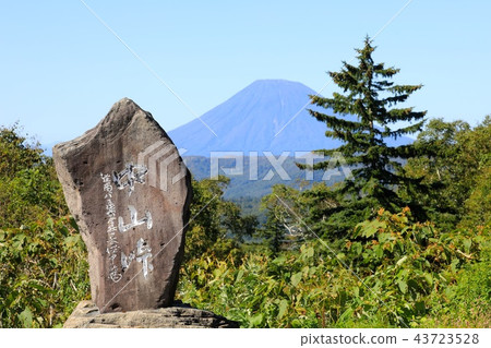 從中山山口和禪宗茶館看到的夏末羊蹄山 43723528
