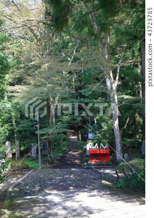 Large red clogs of red heavenly bream in the approach to Daioyama Seiji Temple 43723785