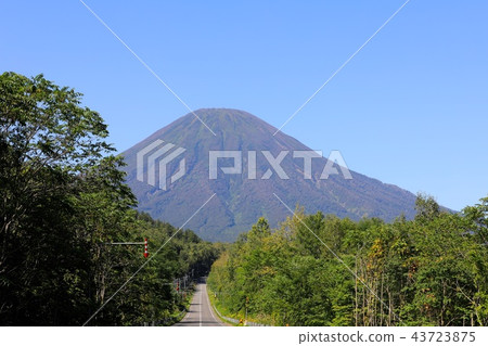 從Kimobetsu鎮Aikawa區看到的夏末的羊蹄山 43723875