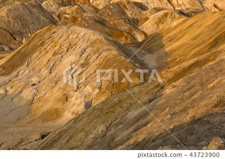 orange desert orange desert 43723900