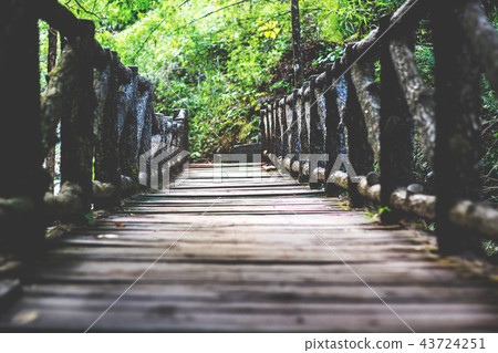 Bridge wood forest survey sidewalk 43724251