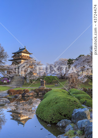 在高島城堡的櫻花 在高島城堡的櫻花 43724474