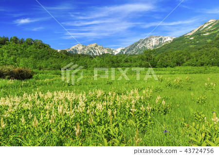 Tsugaike Nature Park 43724756