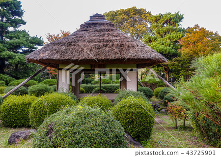 Yanagisawa Bunko garden early autumn leaves Yanagisawa Bunko garden early autumn leaves 43725901
