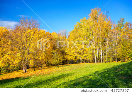 Sunny autumn in countryside 43727207