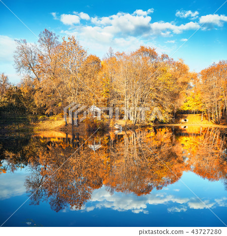 Sunny autumn in the park over lake Sunny autumn in the park over lake 43727280