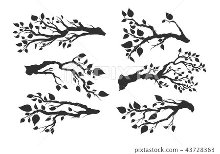 Tree Branches With Leaves Isolated Stock Illustration