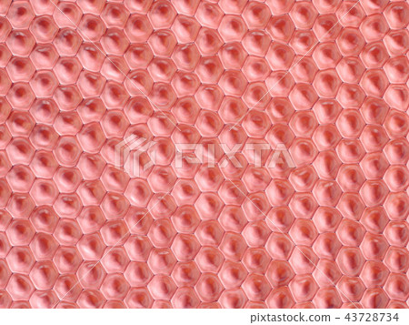 top view on skin colored cell pattern 43728734