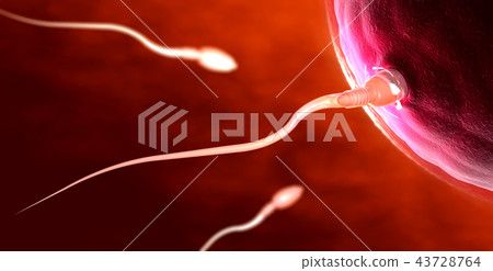red sperm cells swimming towards egg cell 43728764