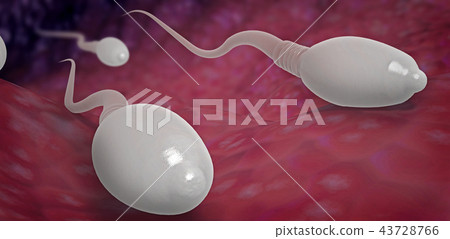 sperm cells moving towards egg cell into the womb 43728766