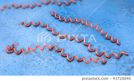 red blue colored lyme disease pathogens red blue colored lyme disease pathogens 43728840