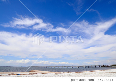 Blue Sky in September and Kansai International Airport Link Bridge Rinku Park (Osaka Prefecture) Blue Sky in September and Kansai International Airport Link Bridge Rinku Park (Osaka Prefecture) 43728843
