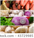 Healthy food photo 43729985