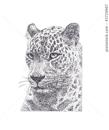 Leopard Pointer 43729987
