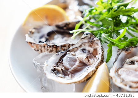 oyster on the ice 43731385