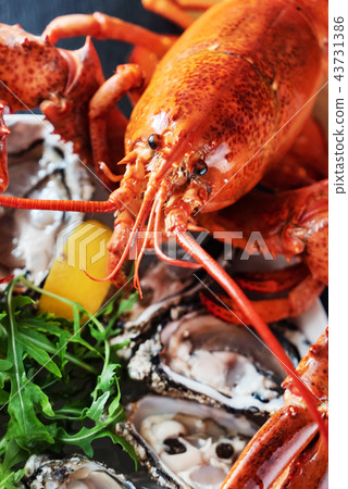 cooked lobster closeup 43731386
