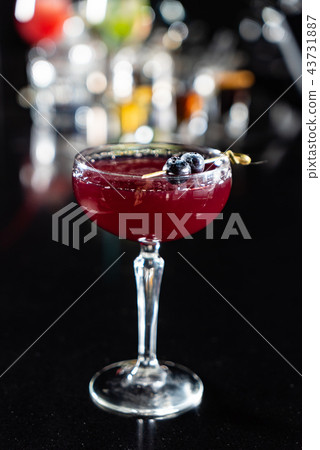 cocktail in the bar cocktail in the bar 43731887