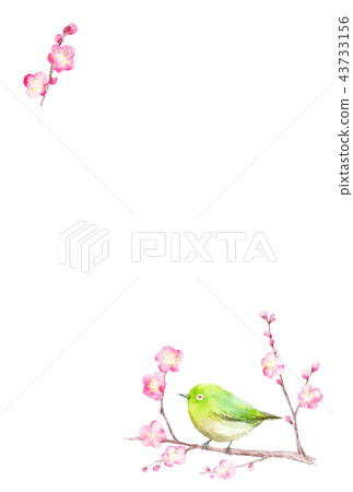 Postcard template White-eye and plum 43733156