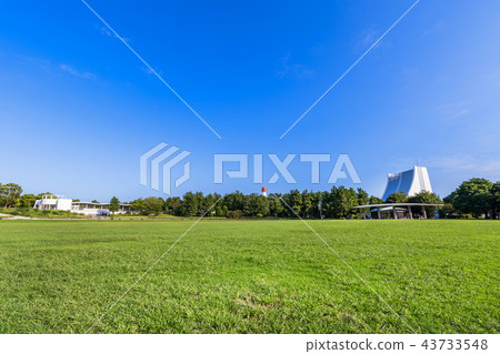 台場海風公園的開放空間 43733548