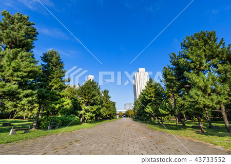 Odaiba海風公園的風景 Odaiba海風公園的風景 43733552