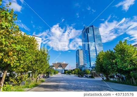 Landscape of Tokyo Ariake Landscape of Tokyo Ariake 43733576