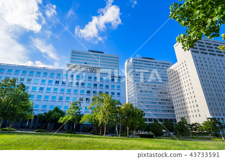 Landscape of Tokyo Ariake 43733591