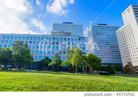 Landscape of Tokyo Ariake 43733592