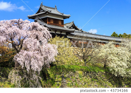 郡山城 郡山城 43734166