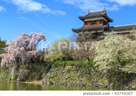 郡山城 郡山城 43734167
