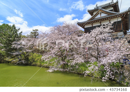 Koriyama Castle Koriyama Castle 43734168
