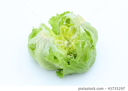 夏季蔬菜,生菜,新鮮,一塊 夏季蔬菜,生菜,新鮮,一塊 43735297