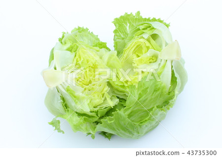 夏季蔬菜,生菜,新鮮,一塊 夏季蔬菜,生菜,新鮮,一塊 43735300