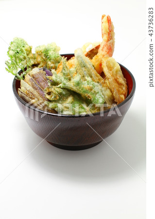 Tendon, white background 43736283