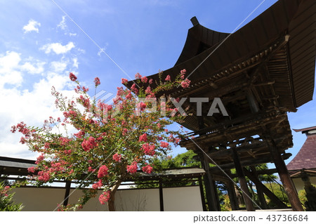 Nagano Prefecture Takayamaji Temple Nagano Prefecture Takayamaji Temple 43736684