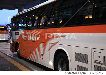 Airport Limousine Bus 1 Airport Limousine Bus 1 43736747