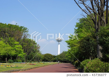 Tokorozawa Air Park 43736877