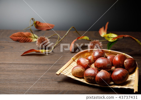 收穫食物栗子秋天 43737431