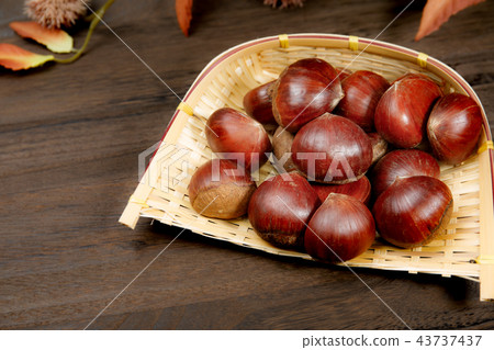 收穫食物栗子秋天 收穫食物栗子秋天 43737437
