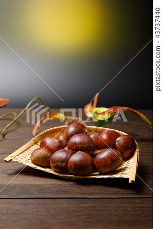 收穫食物栗子秋天 43737440