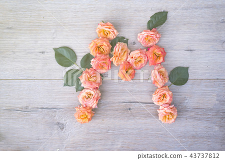 M, roses flower alphabet isolated on gray wooden background, flat lay 43737812