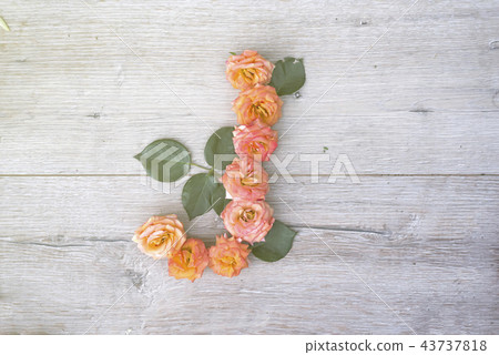 J, roses flower alphabet isolated on gray wooden background, flat lay 43737818