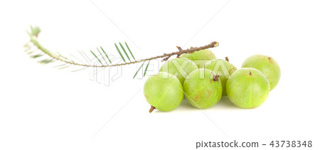 Indian gooseberry isolated on white background 43738348