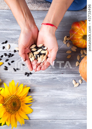 Hands of a girl holding sunflower seeds and a pumpkin on a gray wooden background with copy space Hands of a girl holding sunflower seeds and a pumpkin on a gray wooden background with copy space 43738496