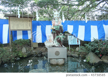 Enoshima Shinto shrine Senaku white dragon king Enoshima Shinto shrine Senaku white dragon king 43738585