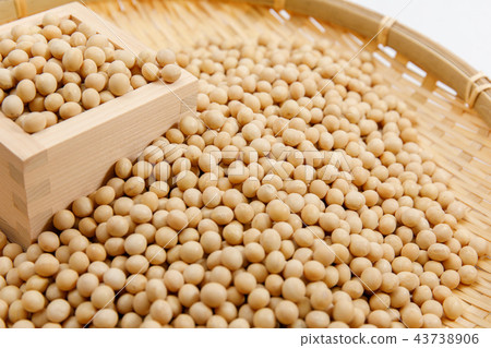 Beans, soybean, dried beans, grains 43738906