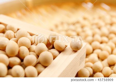 Beans, soybean, dried beans, grains 43738909