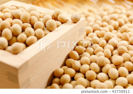 Beans, soybean, dried beans, grains Beans, soybean, dried beans, grains 43738911