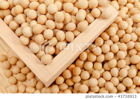 Beans, soybean, dried beans, grains 43738913