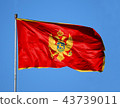 National flag of Montenegro on a flagpole 43739011